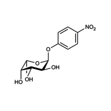 4-硝基苯基-α- l-fucopyranosid