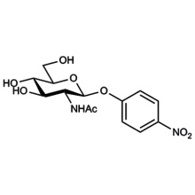 4-硝基苯基-β-N-acetyl-D-glucosaminide